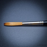 Pro Arte Series 10 Prolene Signwriter Brush – Durable Synthetic Square Tip