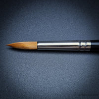 Pro Arte 101 Prolene Watercolour Brush – Professional Synthetic Brush