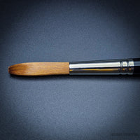 Pro Arte Series 10 Prolene Signwriter Brush – Durable Synthetic Square Tip