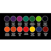 Ak Interactive High Pigmentation Set 14pcs AK11780 - Hobby Heaven