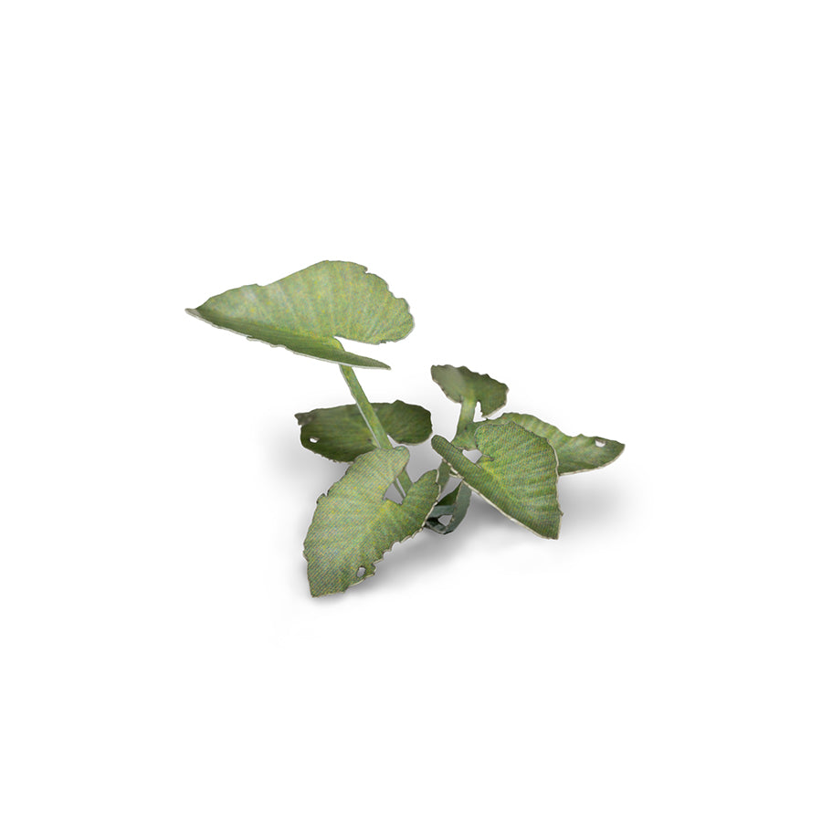 elephant ear plant 3d model Laser Plants - Elephant Ear | Tropical Foliage for Dioramas | Gamers Grass