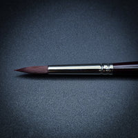 Winsor & Newton Galeria Brush Series – Synthetic Acrylic & Oil Painting Brushes