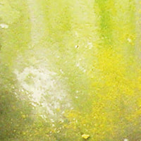 Vallejo Slimy Grime Light Weathering Effects VAL73823 - Hobby Heaven