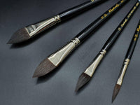 Raphael SKYWASH Series 903 - Hobby Heaven