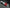 Winsor & Newton Griffin Alkyd Permament Alizarin Crimson Colour 37ml Tube - Hobby Heaven