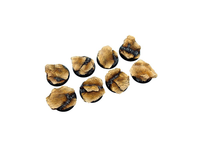 Micro Art Studio Shale Bases Series - Hobby Heaven