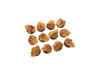 Micro Art Studio Temple Bases Series - Hobby Heaven