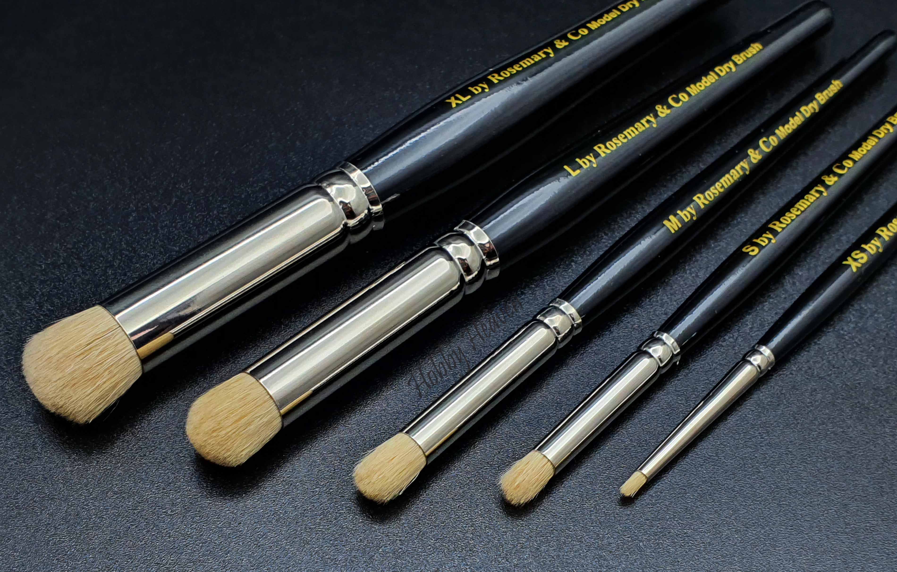 Rosemary & Co Model Dry Brush Set — Synthetic Domed