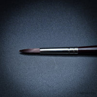 Winsor & Newton Galeria Set — Synthetic Specialty
