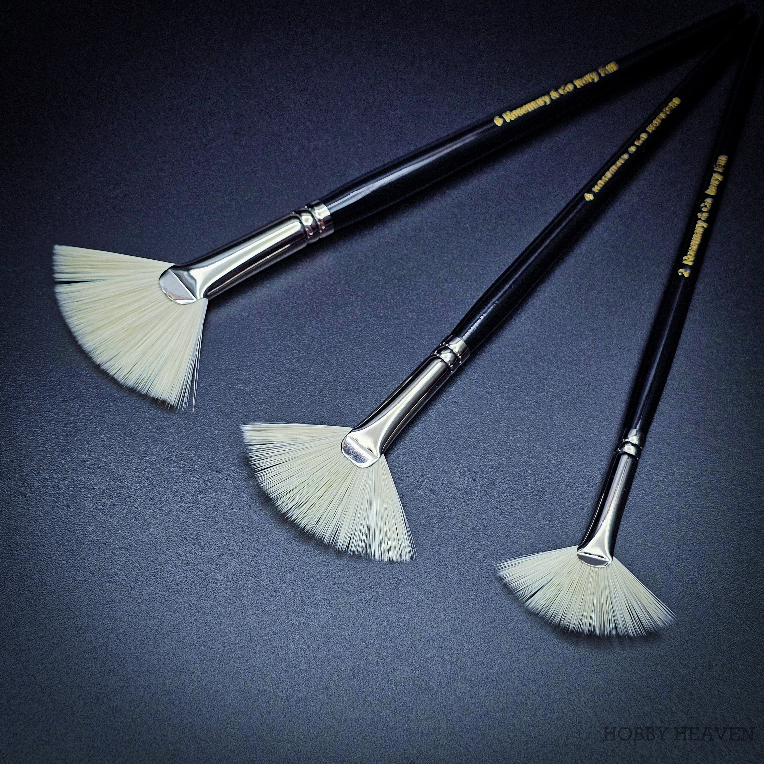 Three Rosemary & Co Ivory synthetic fan brushes fanned out, sizes 2, 4 and 6, showing the flat ferrule and spread cream bristles