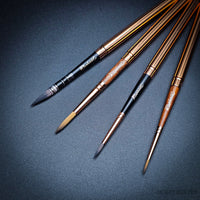 Raphaël Travel Brush "Le Voyageur" – SoftAqua & Precision Series
