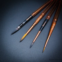 Raphaël Travel Brush "Le Voyageur" – SoftAqua & Precision Series