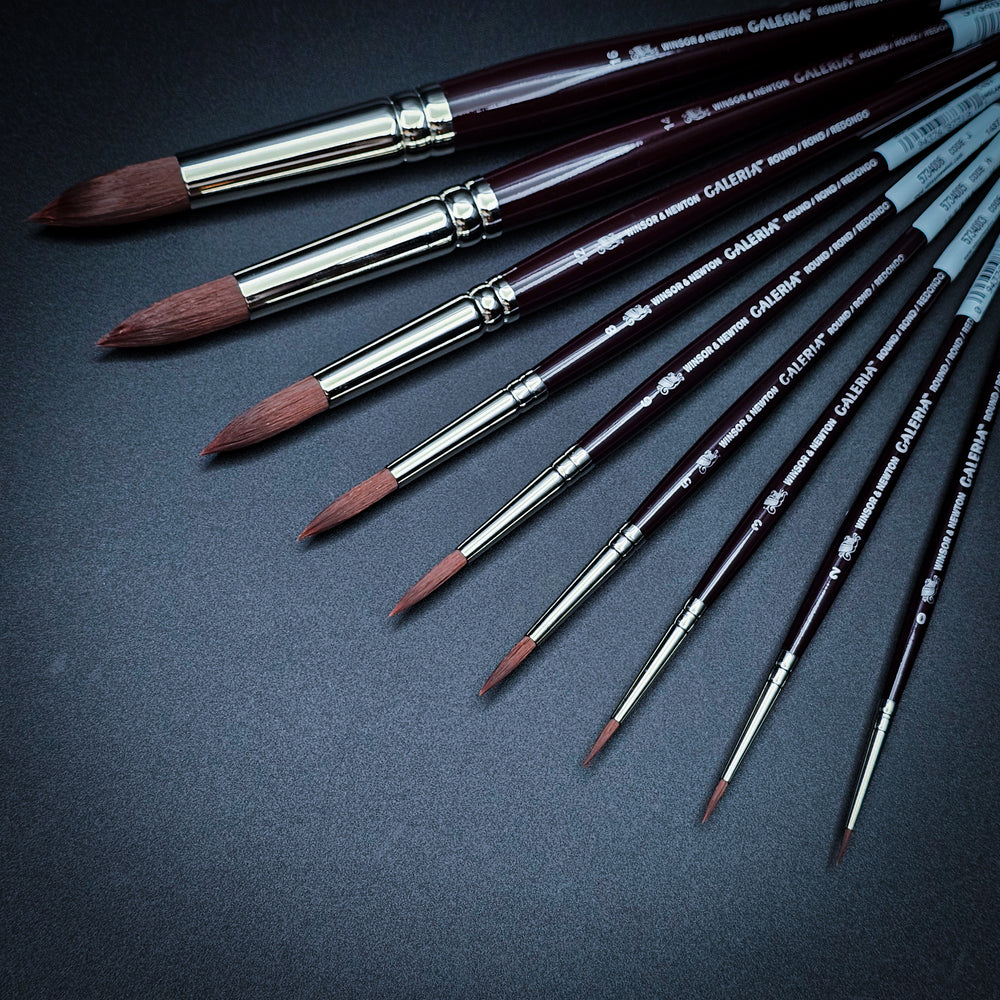 Winsor & Newton Galeria Brush Series – Synthetic Acrylic & Oil Painting Brushes