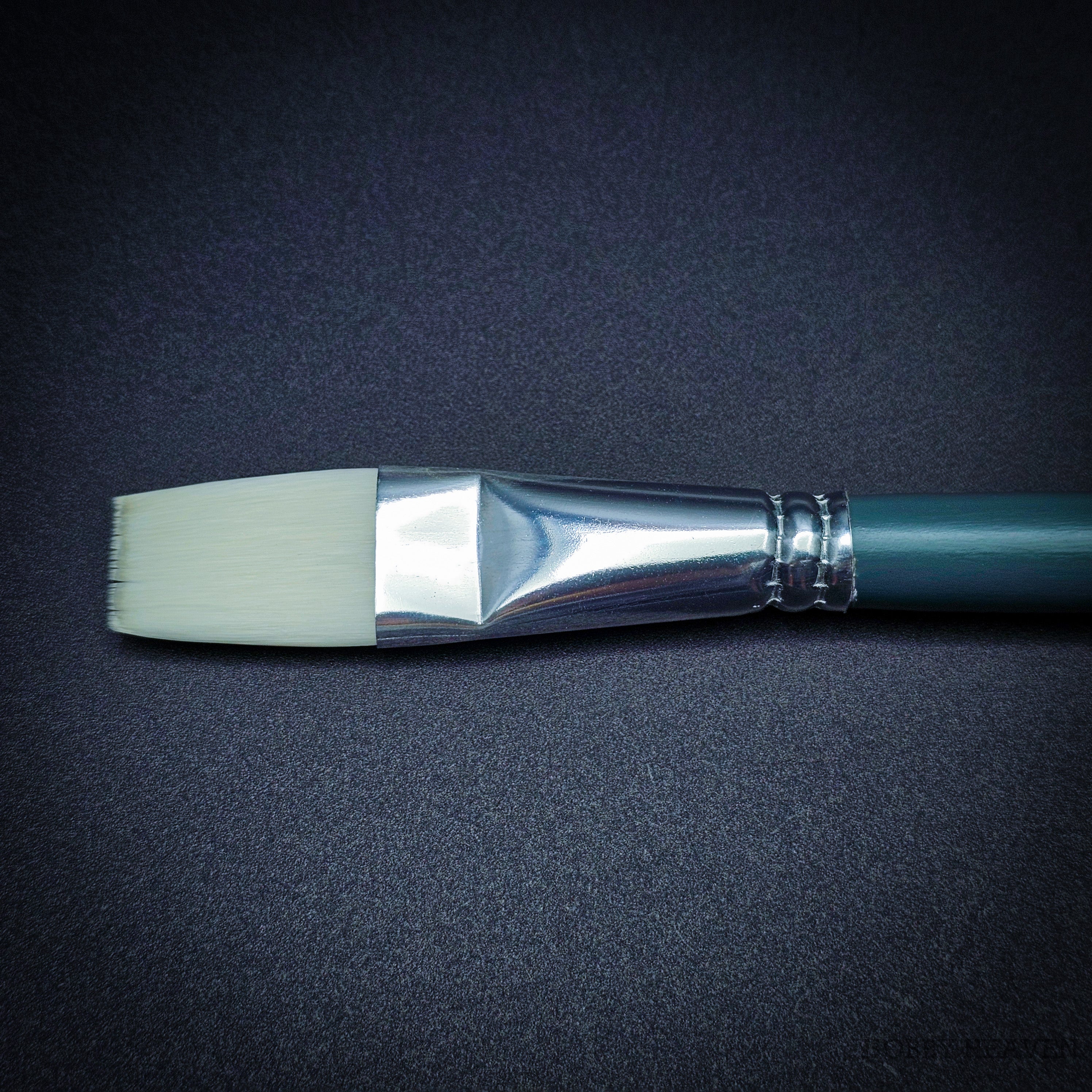 Winsor & Newton Foundation Set — Synthetic Filbert