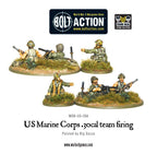 The painted USMC .30 cal machine gun team firing