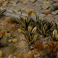 Semi-desert diorama featuring Laser Plants Agave, showcasing realistic arid landscape with miniature figures and terrain
