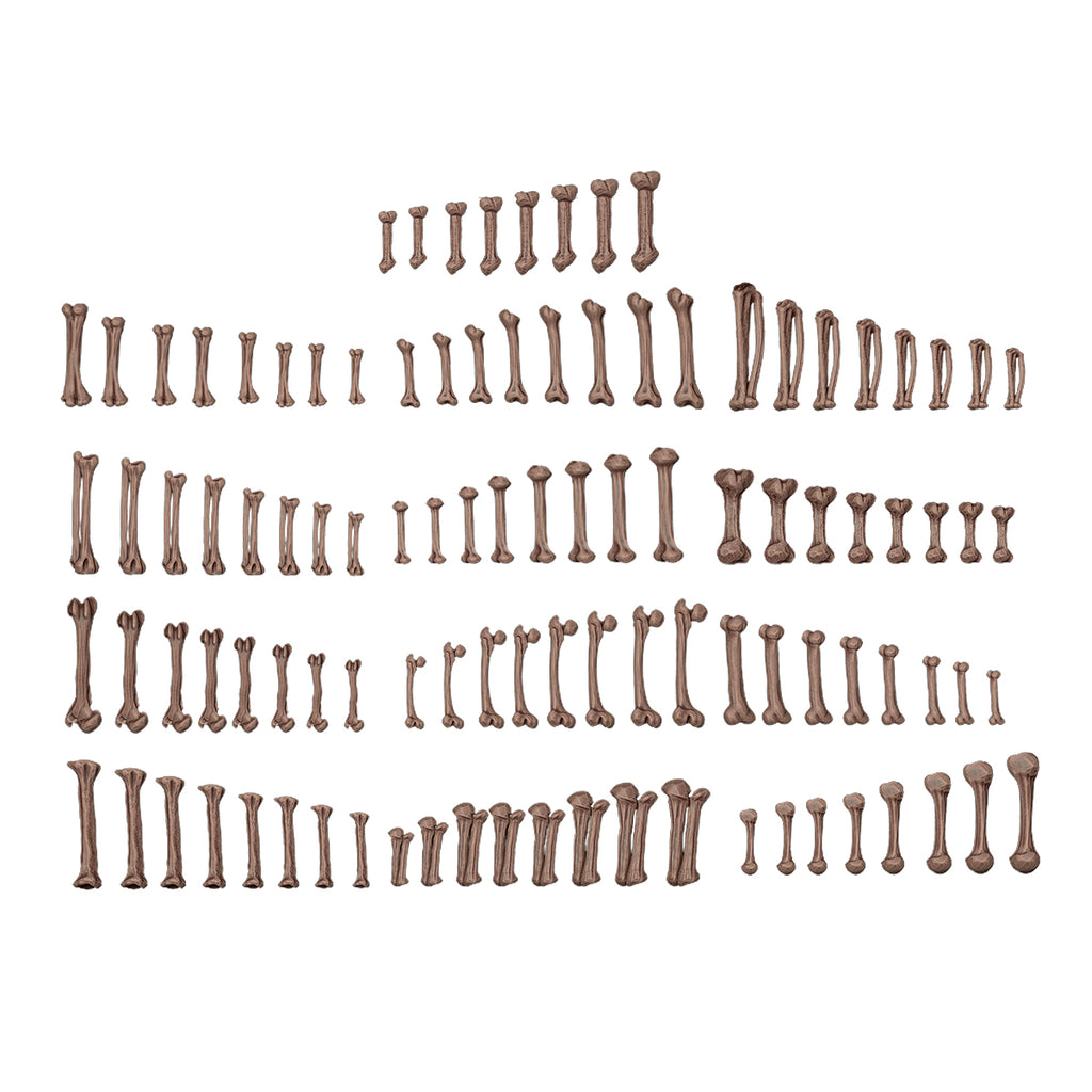 AK Interactive Basing Bits — 3D-Printed Resin Base Accessories