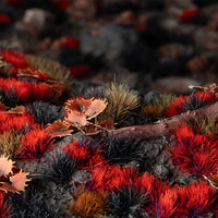 Eerie diorama featuring Alien Blood Moon 6mm - Wild tufts, showcasing a majestic alien landscape bathed in crimson light with mysterious, blood-red vegetation
