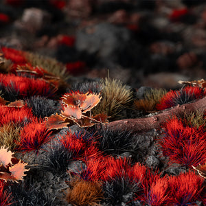 Eerie diorama featuring Alien Blood Moon 6mm - Wild tufts, showcasing a majestic alien landscape bathed in crimson light with mysterious, blood-red vegetation