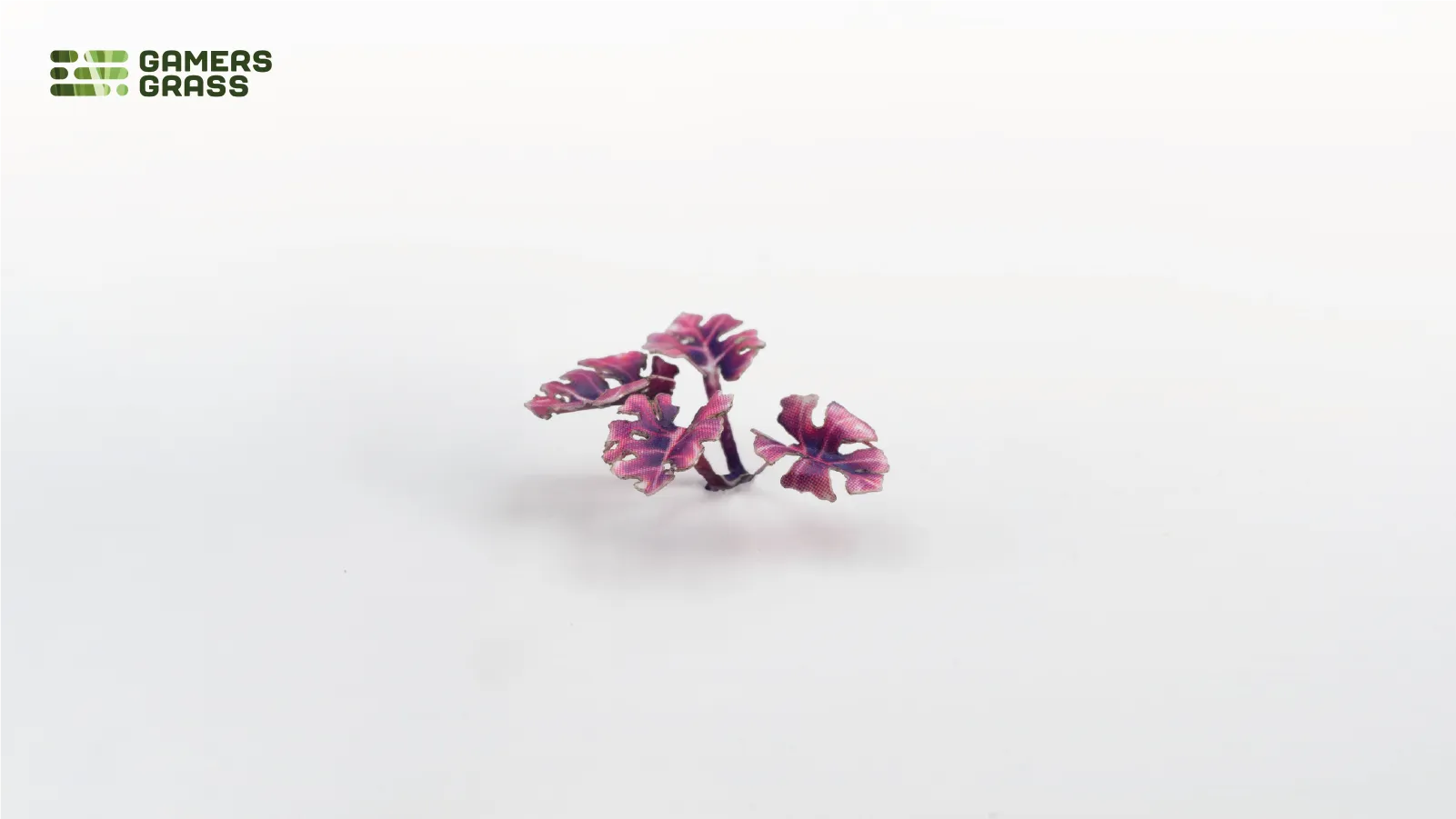 Assembled Gamers Grass Alien Monstera leaves in deep magenta-purple colour variation