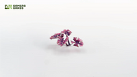 Assembled Gamers Grass Alien Monstera leaves in deep magenta-purple colour variation
