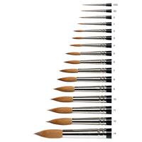 Artist-grade Kolinsky Sable brushes - 7 Winsor & Newton Series 7 sizes on white background
