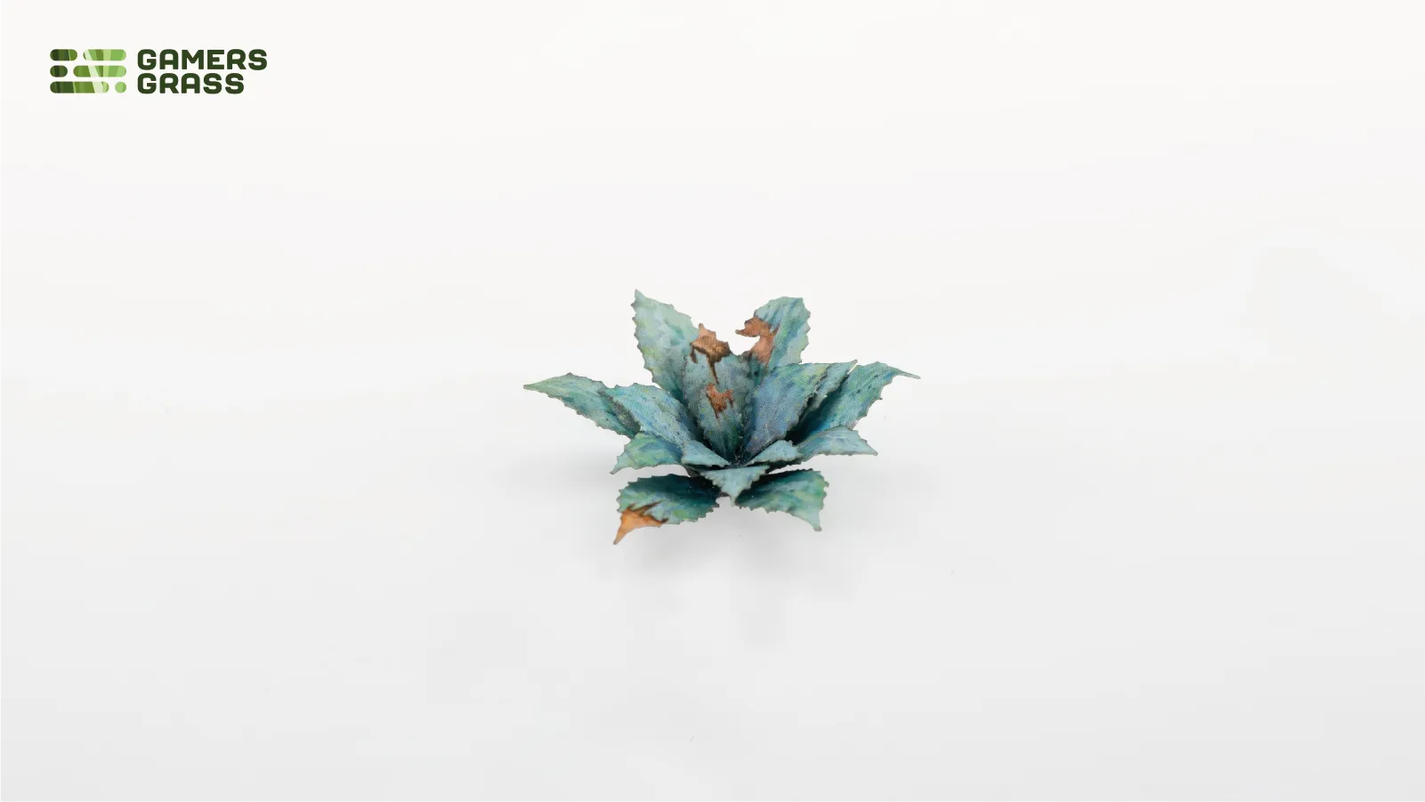 Close-up of assembled Gamers Grass Blue Agave rosette showing blue-green leaf detail with brown tipped centres