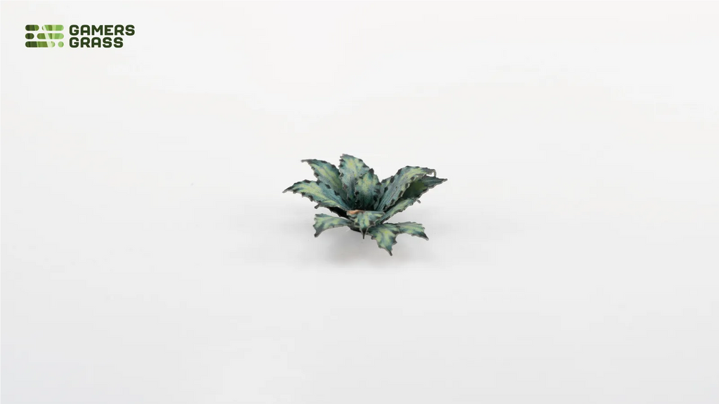 Assembled Gamers Grass Blue Agave smaller rosette in darker green tones with serrated leaf edges