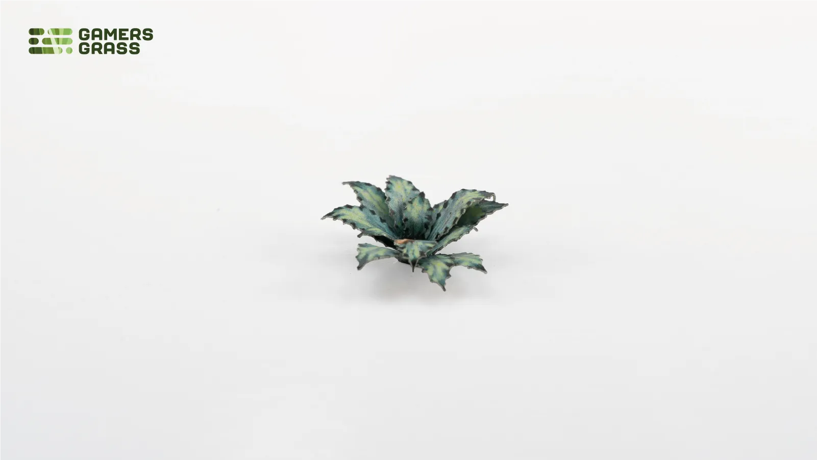 Assembled Gamers Grass Blue Agave smaller rosette in darker green tones with serrated leaf edges
