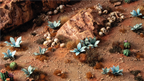 Gamers Grass Blue Agave plants placed on arid desert diorama terrain with dry tufts rocks and scattered scenery