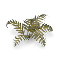 Close-up of a single laser-cut Bracken fern leaf, highlighting intricate frond structure and veining on white background
