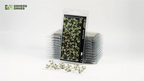 Gamers Grass Bugloss GGLP-BL blister pack with assembled laser-cut broad leaves displayed in front