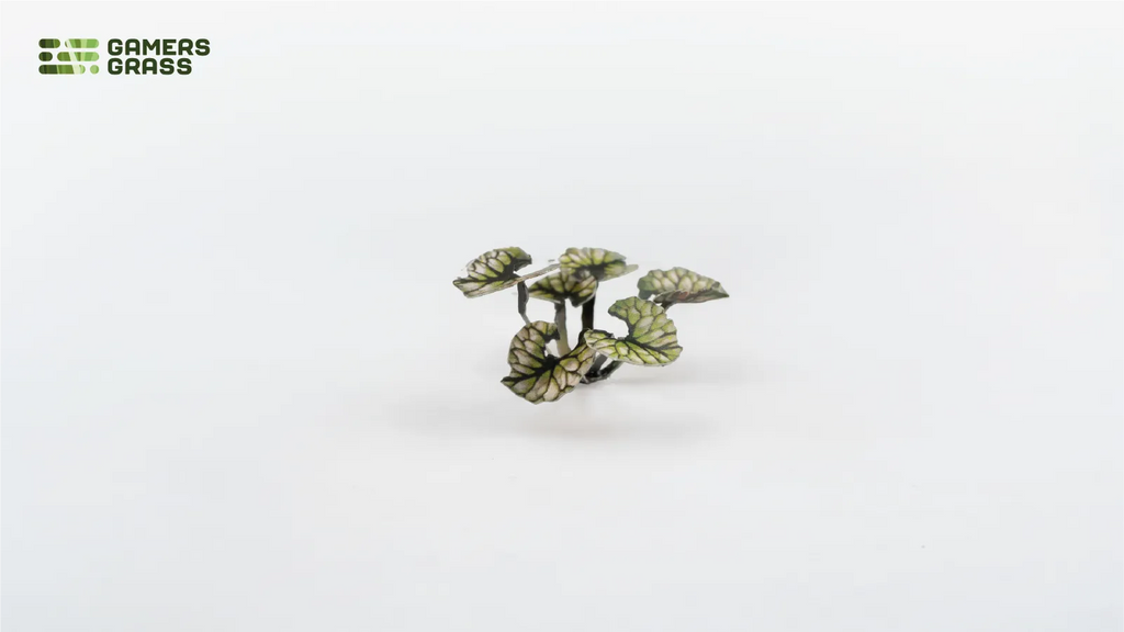Assembled Gamers Grass Bugloss smaller leaf cluster showing pale green tones with prominent veining