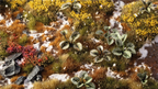 Gamers Grass Bugloss leaves placed on woodland diorama terrain with tufts heather and patches of snow