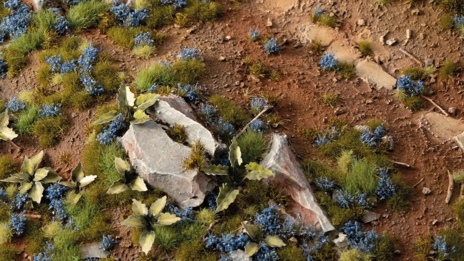 Cornflower tufts and blue flowers spread over red-brown earth beside pale rocks and leaves