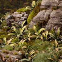 Lush woodland diorama featuring Laser Plants Deer Fern, showcasing a realistic forest floor scene with diverse fern undergrowth
