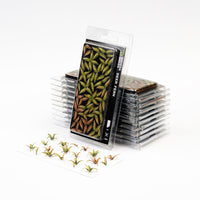 Gamers Grass Laser Plants - Deer Fern packaging box, displaying lush green imagery and product details
