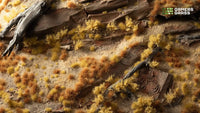 Realistic arid landscape diorama created using the Dry Grass Tuft Starter Box, showcasing a desert scene with varied dry grass tufts
