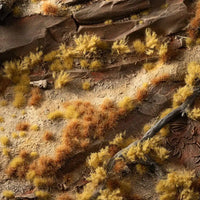 Realistic arid landscape diorama created using the Dry Grass Tuft Starter Box, showcasing a desert scene with varied dry grass tufts