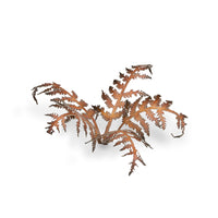 Close-up of a single laser-cut Dry Bracken fern leaf, highlighting intricate autumnal frond structure on white background
