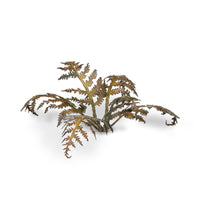 Close-up of a single laser-cut Dry Bracken fern leaf, highlighting intricate autumnal frond structure on white background
