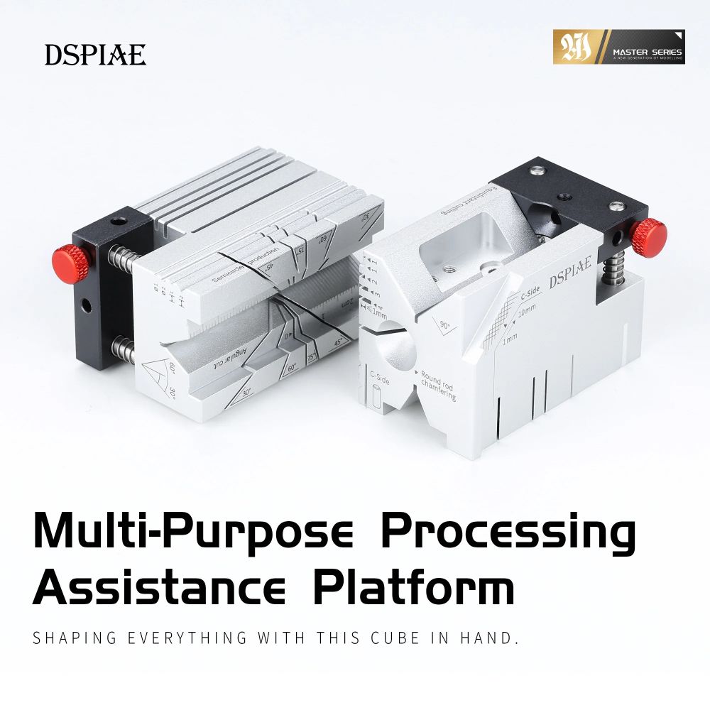 DSPIAE Multi-Purpose Processing Assistance Platform title panel showing two views of the cube