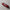 Red Iwata Nozzle Wrench IWCL-NW-1 precision airbrush service tool
