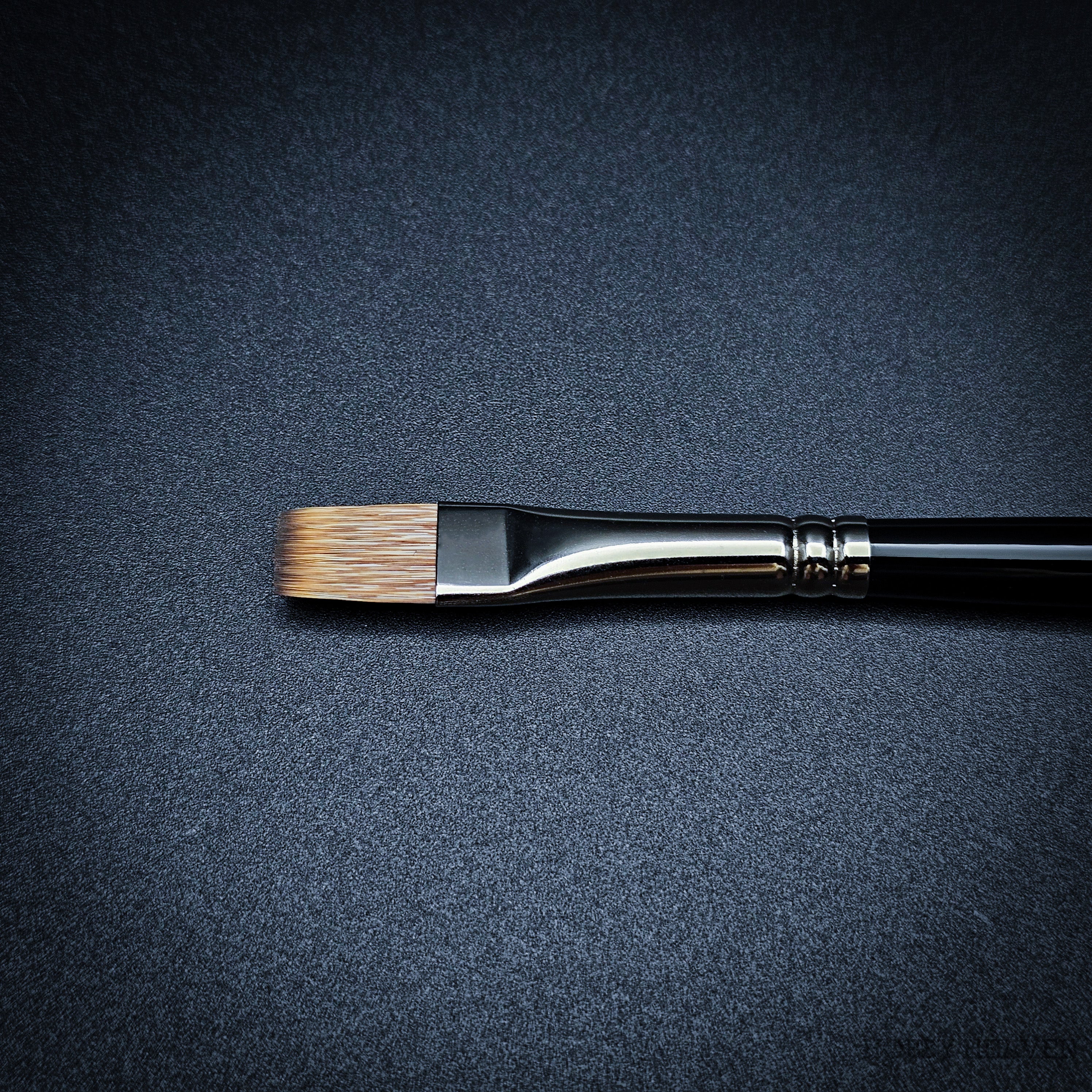 Rosemary & Co Eclipse Comber — Synthetic Specialty