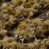 Atmospheric wetland diorama featuring the Marshland Set, showcasing a diverse damp landscape with marsh vegetation and shadowy forest undergrowth
