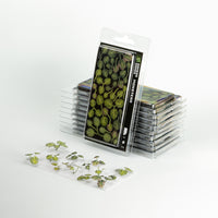 Gamers Grass Laser Plants - Monstera packaging box, featuring lush green split-leaf philodendron imagery and product detail
