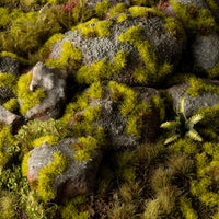 Realistic wetland diorama featuring Moss 2mm, showcasing a lifelike bog or forest floor scene amid the lush, mossy vegetation
