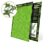 Uncoloured Paper Plants Fern pack: green laser-cut sheet with a picture of the finished plants