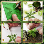 How to use uncoloured Paper Plants: cut from the sheet, airbrush, glue with CA, place on the base