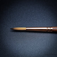 Raphaël Travel Brush "Le Voyageur" – SoftAqua & Precision Series